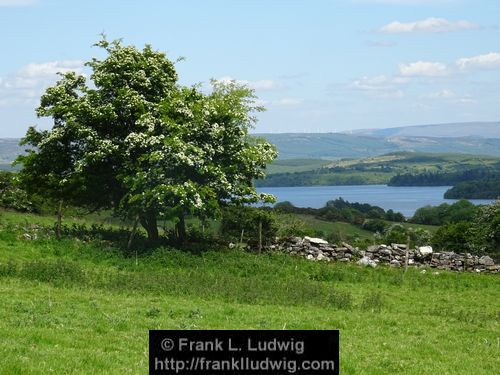 Lough Arrow